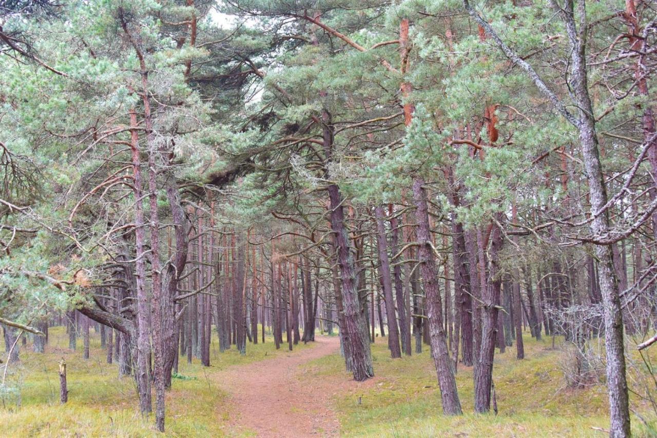 Vila Dia Palanga Luaran gambar